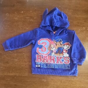 Paw Patrol Blue Hoodie with Teamwork Print